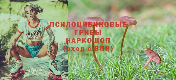 соль курить ск Алзамай
